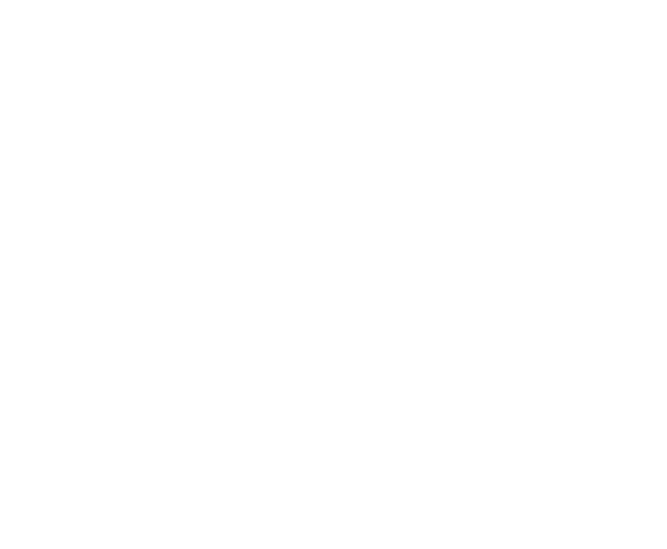 Mighty Oaks Project